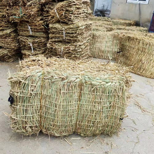 防汛草袋的分類(lèi) 稻夫草編制品廠